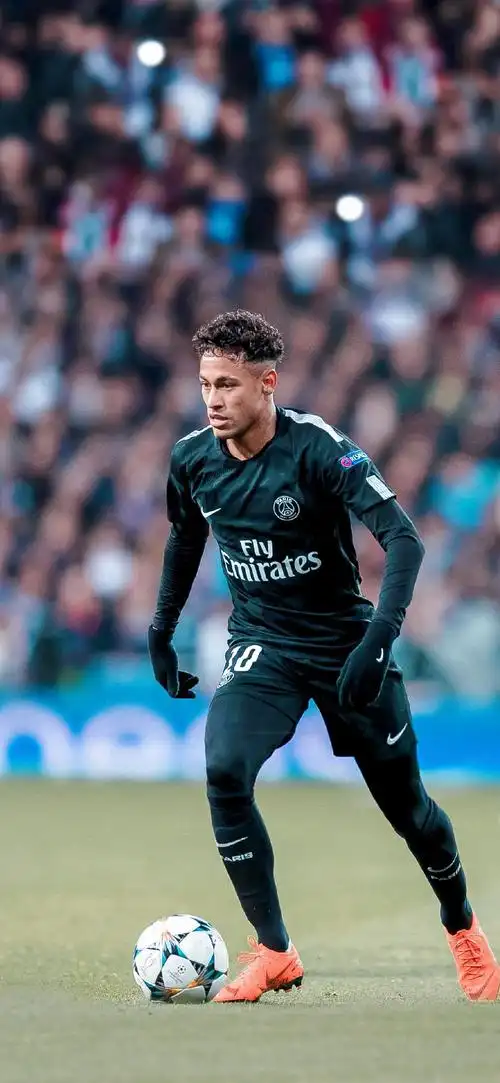 首要目标 首要目标